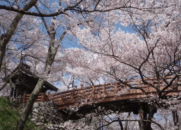 夜桜の名所「日本三大夜桜」と、古くからの桜の名所「日本三大桜の名所」をご紹介