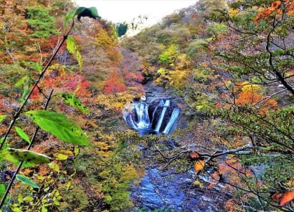 【2022年】紅葉の見頃はいつまで?穴場から定番までおすすめスポット24選