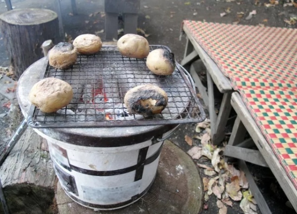 バーベキューの焚き火で出来る焼き芋の作り方！簡単に甘く仕上げる4つのコツを伝授！