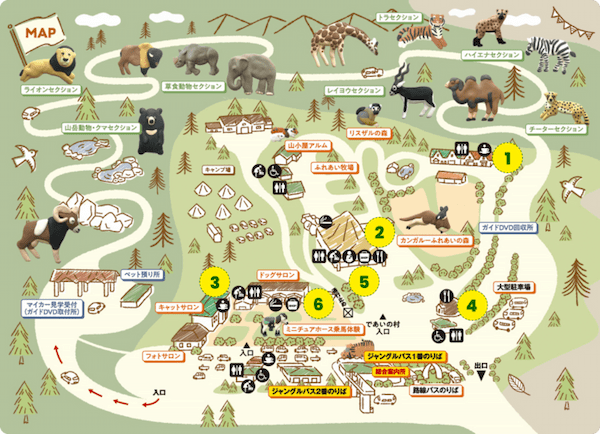 約48年ぶりの訪問！「九州自然動物公園アフリカンサファリ」園内レポート