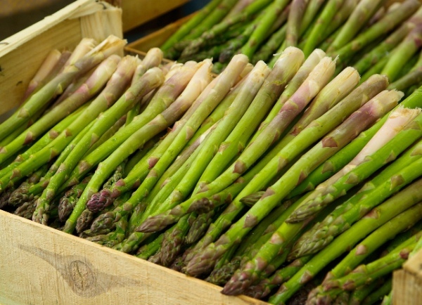 アスパラガスの漢字表記とは!特徴的な姿をした野菜は、漢字も独特で難しすぎた!