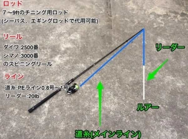 チニング入門編！時期は？仕掛けは？初めてのチニング特集！