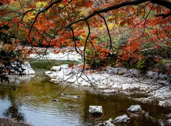 静岡県・三島市のおすすめ観光スポット＆名物グルメ情報まとめ