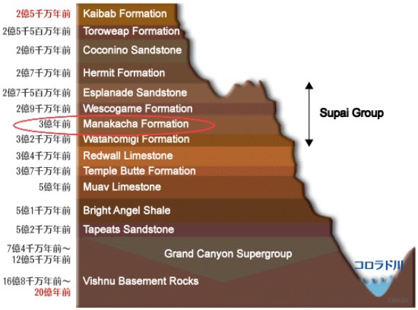 3億年前の「脊椎動物の足跡」が米グランドキャニオンで見つかる。足跡化石の”最古の記録”を更新！