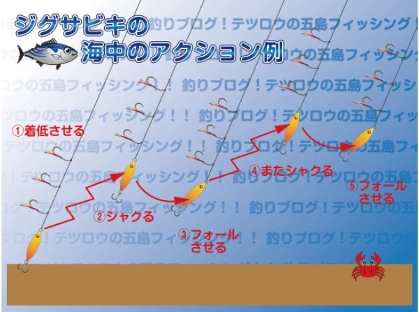 【ジグサビキ入門】仕掛けや釣り方など、釣果アップの秘訣をご紹介！