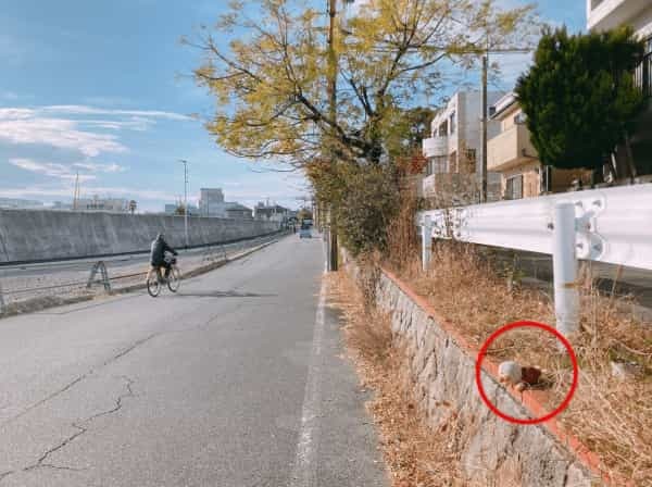 【続報】アンパンマンが草むらに落ちてる【持ち主見つかった】