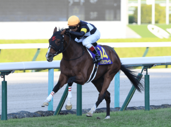 天皇賞（春）の極め穴馬を元JRAレジェンドが激推し！ 「自分が乗るならこの馬でタイトルホルダーを負かす」