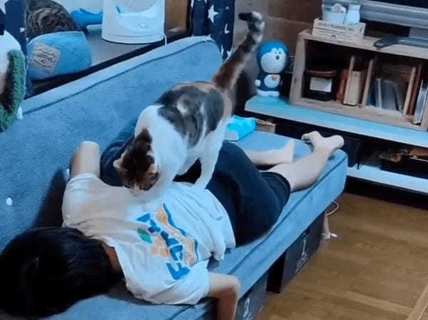 猫と人間がシンクロ　子どもと二度寝するにゃんこに飼い主もホッコリ