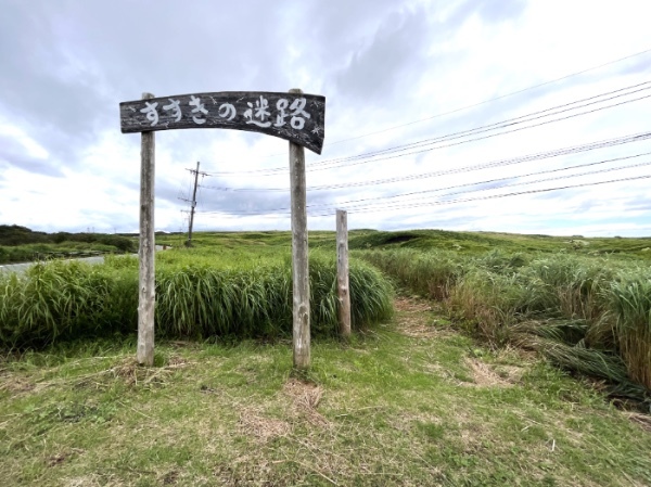 【阿蘇市】期間限定！自然の巨大迷路「すすきの迷路」で本気で迷子になった。