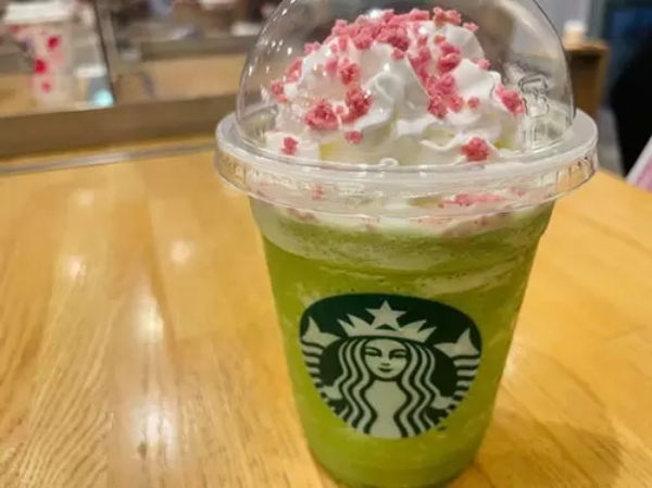 スタバ新作「さくら 咲くサク 抹茶 フラペチーノ」は優しい甘みが絶品！春満開の1杯をレビュー