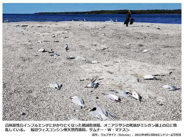 狭まる農業包囲網の大間違い