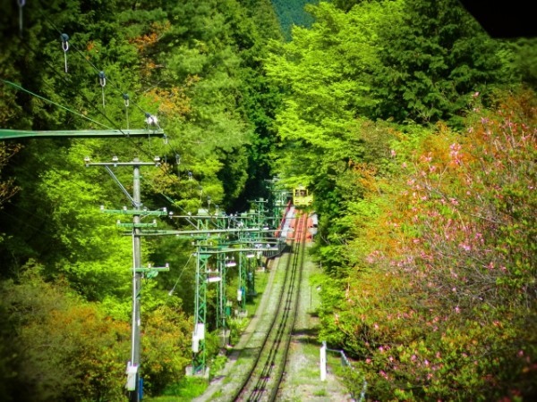 初心者のための御岳山登山ガイド！おすすめルートや服装、アクセスまで全てわかる！