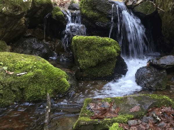 【関東】梅雨の登山におすすめの山4選！景色が残念でも楽しめるルート情報も！