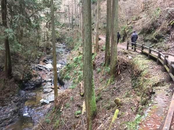 【西多摩・秋川】がおすすめ「東京にまだこんな素敵な場所があったなんて・・・」