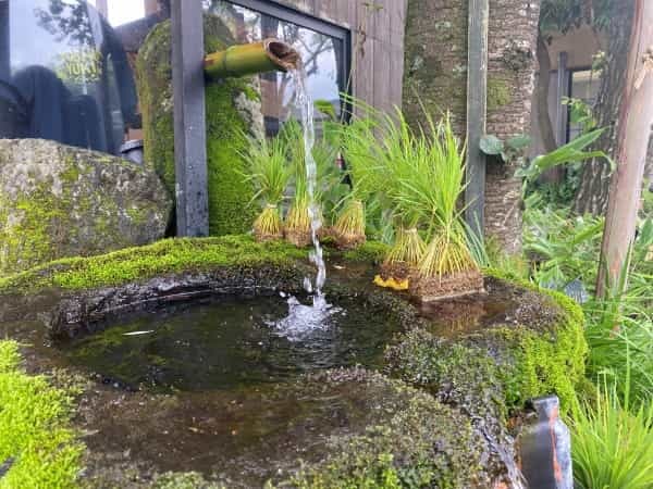 阿蘇神社門前町商店街にある水に浮かび上がる文字にざわ…ざわ…【御神水おみくじ】