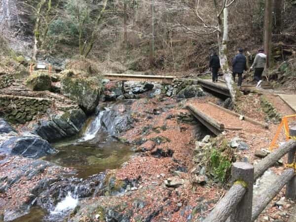 【西多摩・秋川】がおすすめ「東京にまだこんな素敵な場所があったなんて・・・」