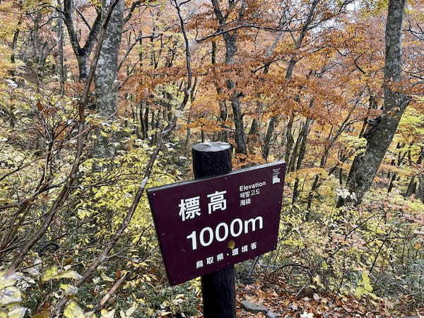 【日本百名山】2座目は雨の中をひたすら登った大山（鳥取県）