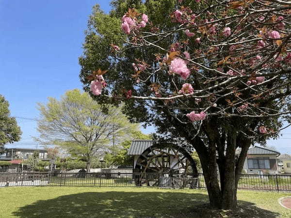 湧き出る美しい水を飲んで散歩をしたら、ロマンが見えた～菊池市七城町亀尾　前川水源、亀尾城跡～