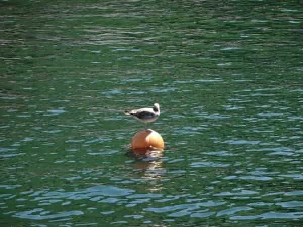 街ブラ系旅行にオススメ！島根県美保関”神々が宿る地”の魅力とは？