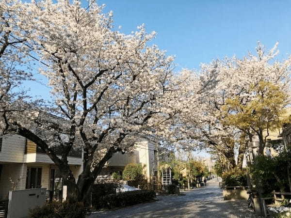 【連載】用賀へおでかけ♪美術館や公園、家族で行きたいおでかけスポット