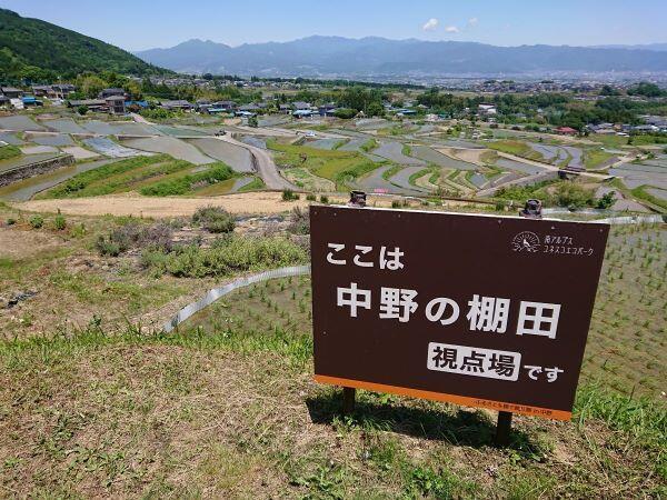 （南アルプス市）富士山が見える絶景の棚田と銘菓清月のイタリアンロール