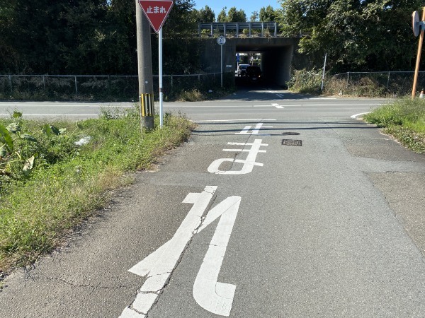 熊本で見つけた「なんだこれ？」珍百景