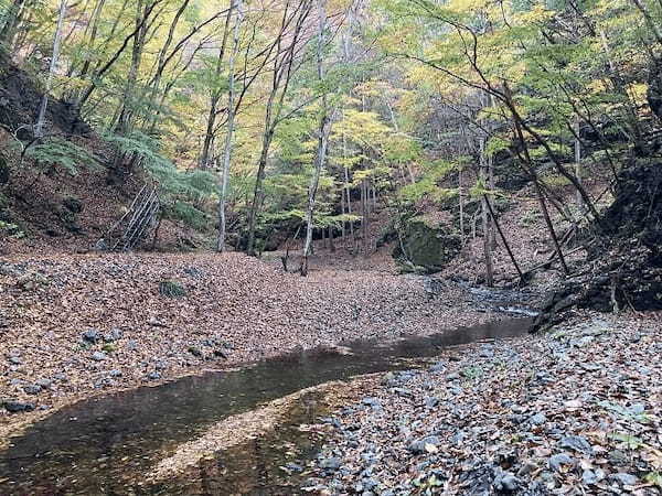 【群馬県】面積の約95%が森林という、自然に溢れた上野村で私が受け取ったものとは？