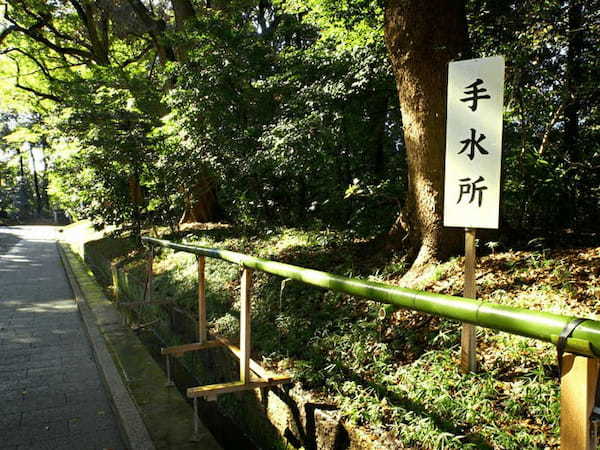 明治神宮と永遠の杜～初詣参拝者数1位である明治神宮の歴史と見どころ～