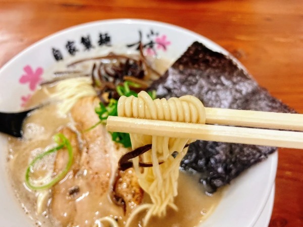 室川町にある「麺屋 桜息吹 西宮本店」で「豚骨ラーメン」を食べてきた【にしつーグルメ】