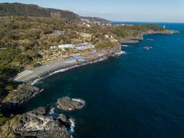 東伊豆・伊豆海洋公園セルフダイビングコースと見どころ-豊富なコース取り-