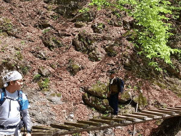 【鬼滅ファンに人気の聖地】東京都最高峰の百名山『雲取山』に新緑登山2024！！