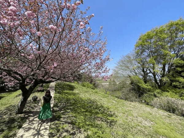 湧き出る美しい水を飲んで散歩をしたら、ロマンが見えた～菊池市七城町亀尾　前川水源、亀尾城跡～