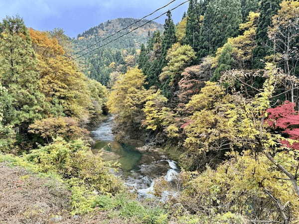 【秋田】大館・小坂鉄道レールバイクに乗って爽快サイクリング？