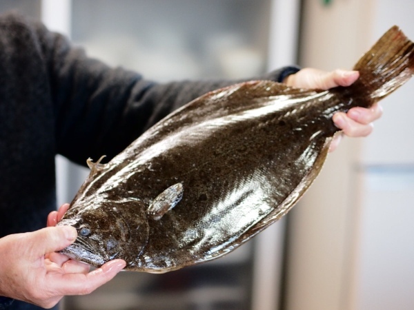 福島県産の魚介グルメが堪能できる「発見!ふくしまお魚まつり」(代々木公園)に、『寿司居酒屋まるがまる』がキッチンカーで出店決定!