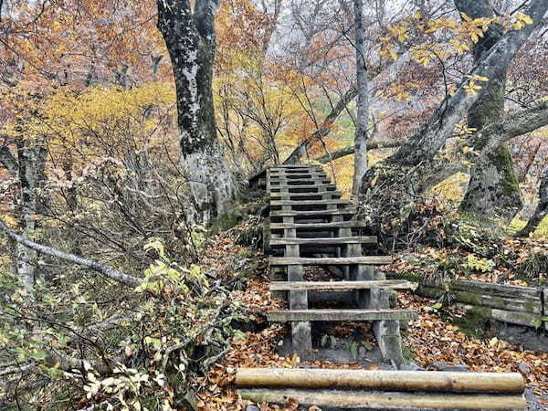 【日本百名山】2座目は雨の中をひたすら登った大山(鳥取県)
