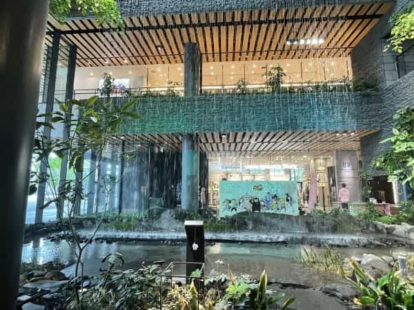 割と知られてない？？アミュプラザの滝の前で絶景写真が撮れるコト