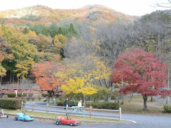 栃木県の川遊びスポットおすすめ3選！とにかく水が綺麗で子ども連れに最適！