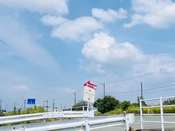 【熊本市南区】茶色いごはんって最高！「DOKOSA(どこさ)」のがっつり弁当でエネルギーチャージ！