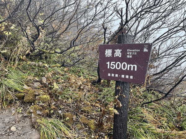 【日本百名山】2座目は雨の中をひたすら登った大山（鳥取県）