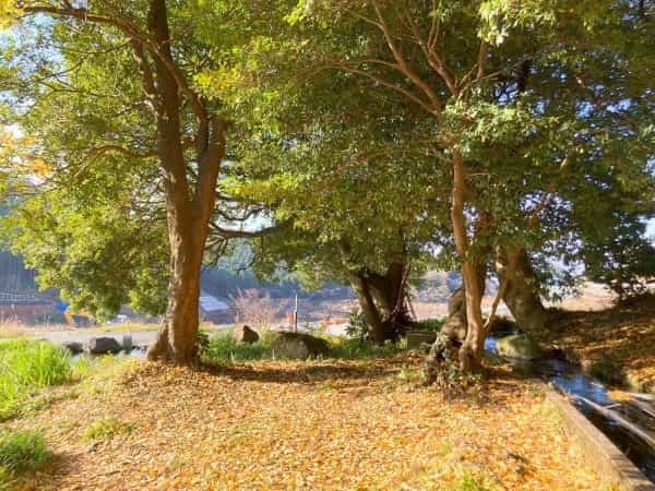 【熊本の無人神社】地域の方の憩いの場の水源「塩井社」