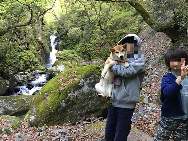 【読者さんからの質問にお答え】キャンプに愛犬を連れて行くにはどうすればいい？準備や対策を解説！