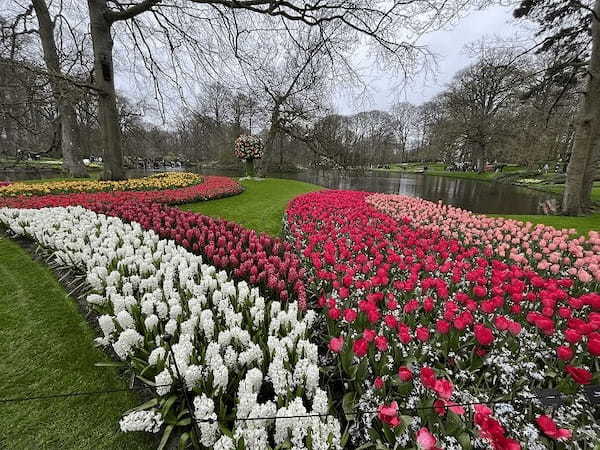 4月にオランダにチューリップを見に行こう!