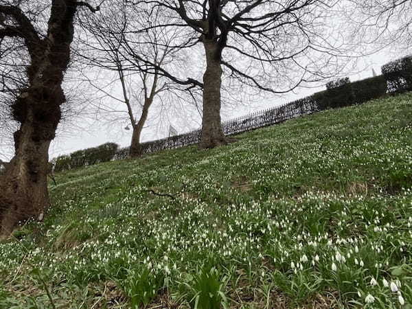 イギリスの季節の花々の織りなす絶景を楽しもう！