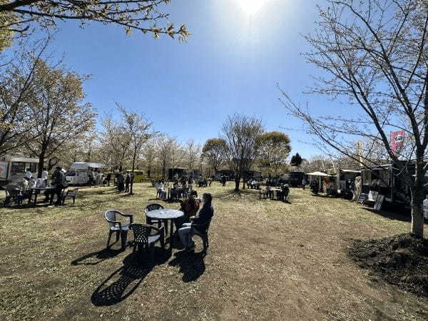 【阿蘇郡高森町】早よ行かんと散ってしまうばい！１.５kmの桜ロードが幻想的な「サクラミチ」に行ってきた！