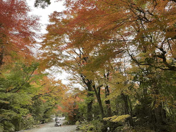 紅葉の時期に行きたい！里山料理のもみじ庵おがさわら