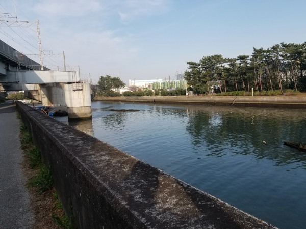 【ジャクソン特集】1~2月の東京湾奥シーバスをショアから手軽に狙う楽しみ方をご紹介！