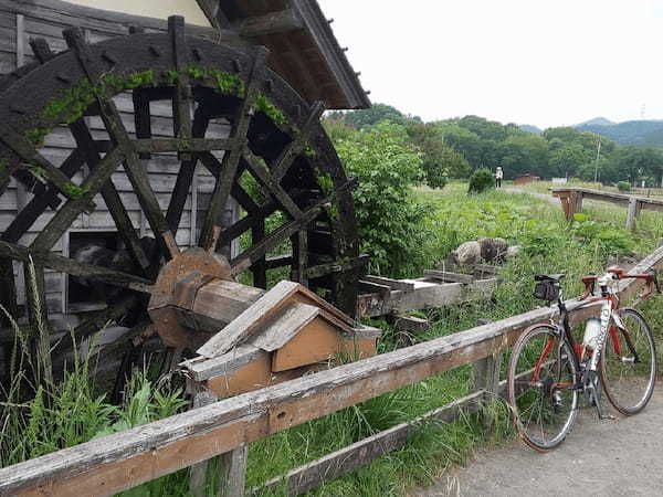 【行ったつもりシリーズ】埼玉県の飯能・日高エリアをサイクリング＜1＞500万本の曼珠沙華が咲く巾着田へ