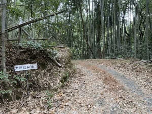 何だここ！玉名の山中で遺跡みたいな場所にたどり着いた先に巨大な仏像「大釈迦坐像」がいた