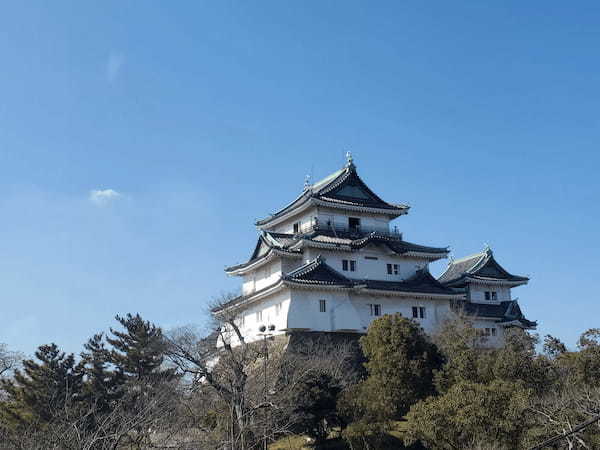 【チェアリング】子ども連れにもおすすめ！和歌山城の魅力をご紹介！