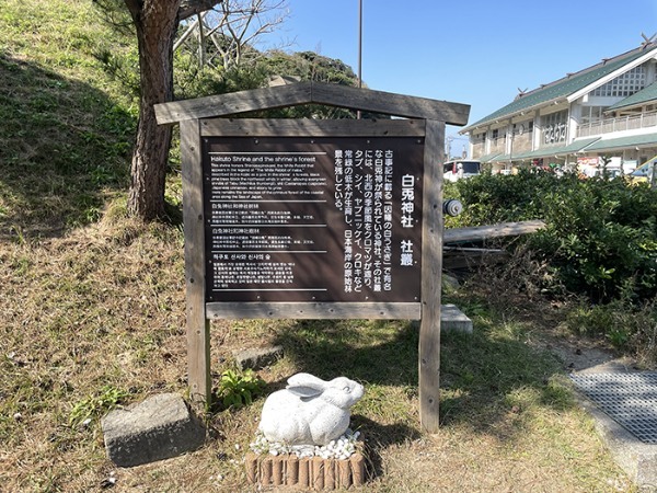 鳥取「白兎神社」って知ってますか！？日本最古級のラブストーリーから縁をいただこう！